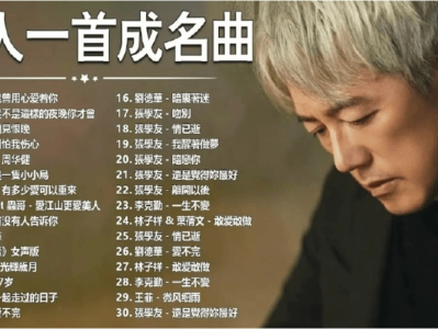 1737首无损音乐大合集，一人一首成名曲，你想要的这里都有，wav无损格式