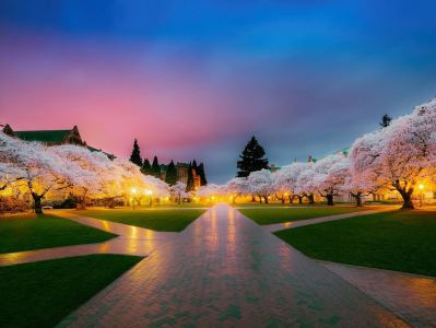 某宝售价 29.9 的超美壁纸合集，每张都是4K画质，总共9000多张