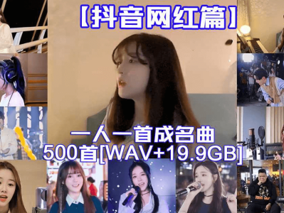 【抖音网红篇】一人一首网红成名曲整合500首无损歌曲每一首都曾是热搜榜神曲[WAV]