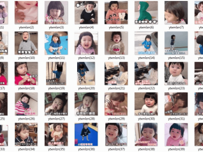 [ 付费29.9购买 ] 全套30000张高清动态表情包