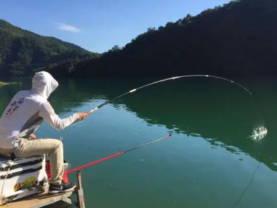 新手必存！《钓鱼实战技巧大全》：装备+饵料+调漂全攻略，钓获率直接拉满