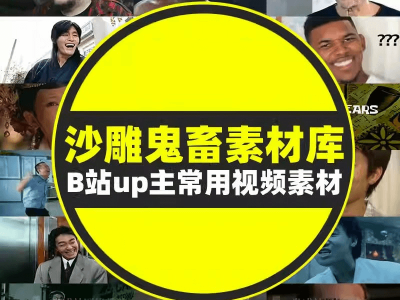 299购买的3000多款抖音热门b站up主常用沙雕搞笑鬼畜短视频剪辑素材表情包bgm音效包
