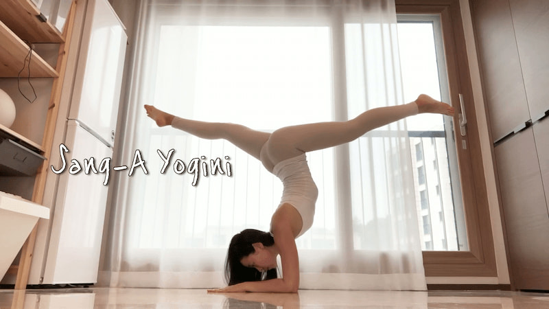 图片[1]-韩国瑜伽教学【女神们的瑜伽】视频教程-Sang老师（149集 9.77G）-掘金谷