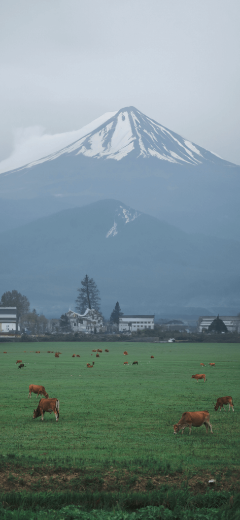 图片[1]-8K超清手机壁纸合集【iOS景深+专辑封面】-掘金谷