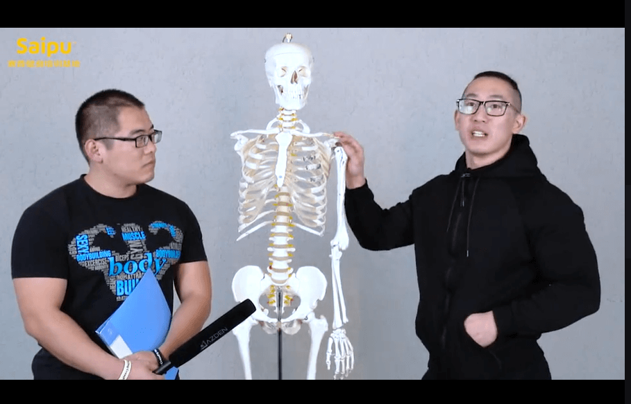 图片[1]-7500元付费VIP赛普健身私教专业教程，从饮食到各肌群训练，全方位把控！-掘金谷