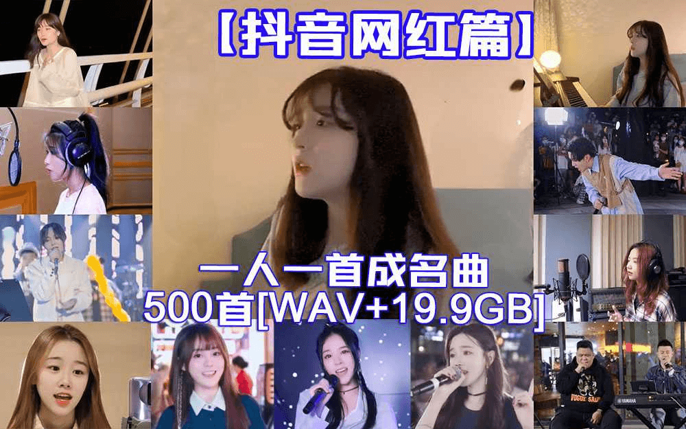 图片[1]-【抖音网红篇】一人一首网红成名曲整合500首无损歌曲每一首都曾是热搜榜神曲[WAV+19.9GB]-掘金谷