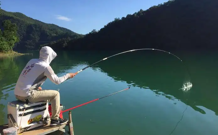 图片[1]-新手必存！《钓鱼实战技巧大全》：装备+饵料+调漂全攻略，钓获率直接拉满-掘金谷